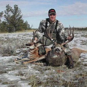 Picture of my Antelope (14") and my 5 X 7 Mule Deer.   I shot the Antelope on the last (Sunday) of the season on the drive in to go Mule Deer hun