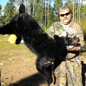 2012 Minnesota bear