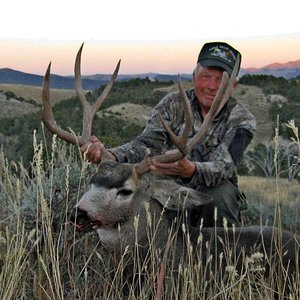October 21, 2011 - Nevada mule deer