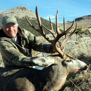 October 26, 2012 - Nevada mule deer