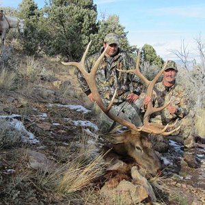 Dave's 2012 NV bull. 2nd to the last day.