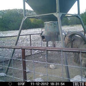 Game Camera