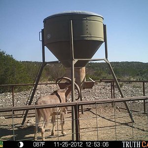 Game Camera