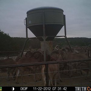 Game Camera