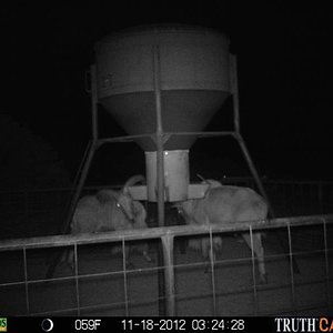 Game Camera