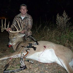 2011 Bow Deer