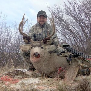 2012 Archery Buck