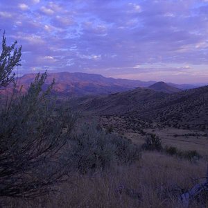 Sage Brush country