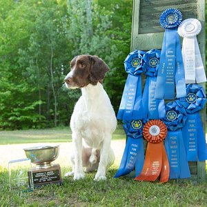 Bokeh's Trophy Shelf