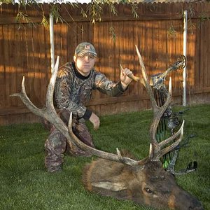 2008 idaho