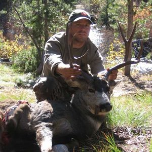 2006 idaho