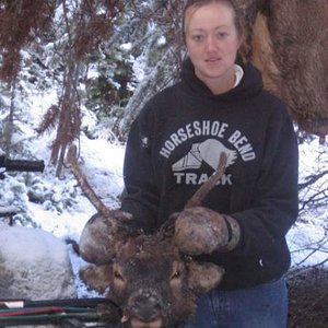 2006 idaho