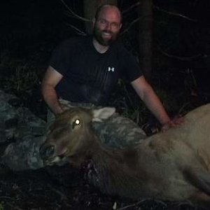 elk 1