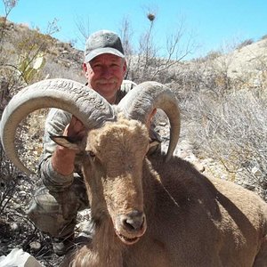 Taken In the Sierra Viejas mountains of west Texas.