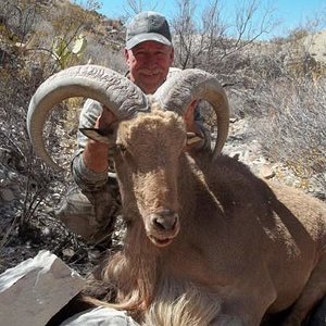 Aoudad taken on my 63rd birthday.