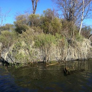 duck blind