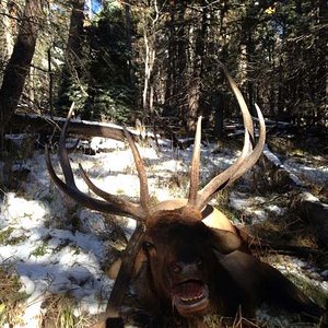 New Mexico public land..