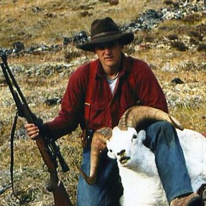 Dall Sheep - Yukon (1986)