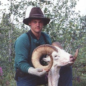 Fanin Sheep - Yukon (1987)