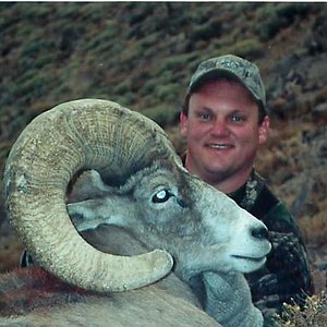 Desert Sheep - Nevada Unit 161 (2002)