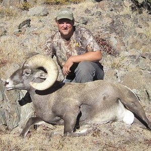 Bighorn Sheep - Wyoming Unit 5 (2009)