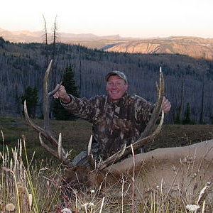 North Yellowstone Bull