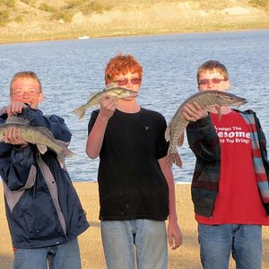 The boys and their fish