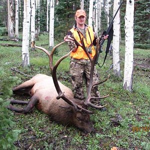 My son's 2013 Utah bull