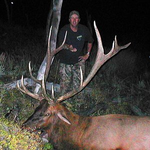 My archery Utah bull