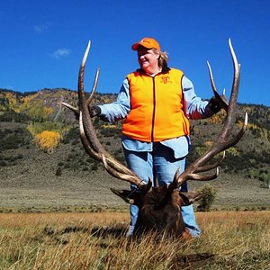 My wife's Utah bull