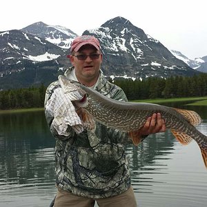 Pike1photo