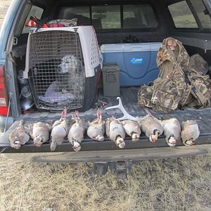 Successful day after Chukar