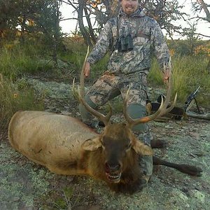 2014 elk