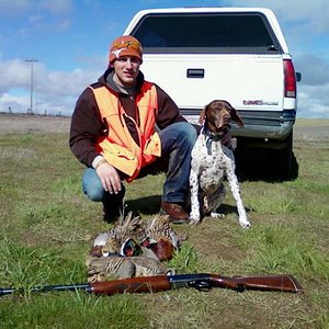 Pheasant/Chukar hunt at Linc Raahauge's Hunting Club; Dunnigan, CA
