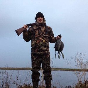 Bagged some Coots at Grizzly Island (California)