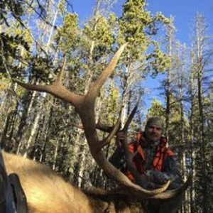 2014 Elk 004 Compressed