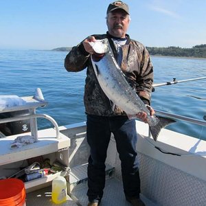 King Salmon Alaska 2015