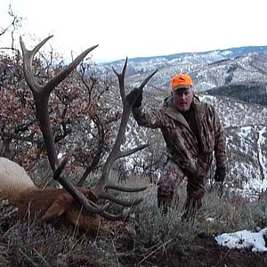 My first bull elk.