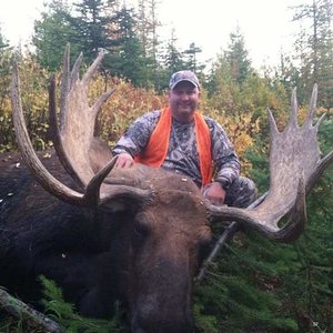 2012 Montana Moose