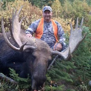 Montana Moose Super Tag 2012