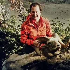 1992 MT Bighorn Sheep