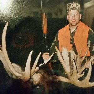 Boone & Crockett Montana Moose 1996