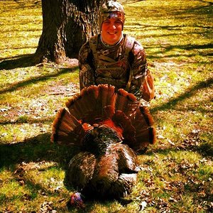 2015 Turkey