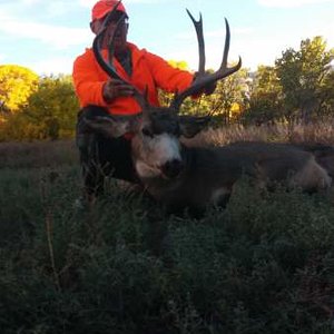 2014 2nd season muley