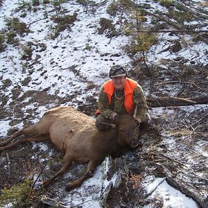 2013 Elk jpg