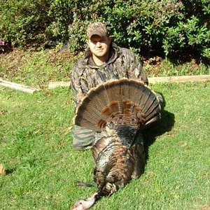 public land ga bird