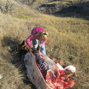Tamber boning the front shoulder