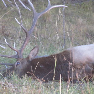 Cruses Basin Hunting Trip 2015 011