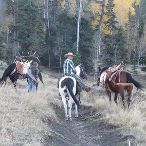 Cruses Basin Hunting Trip 2015 020