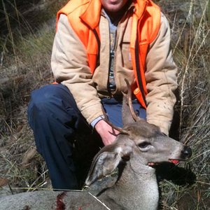 My 1st deer on 1st deer hunt , little forky Oct 2013